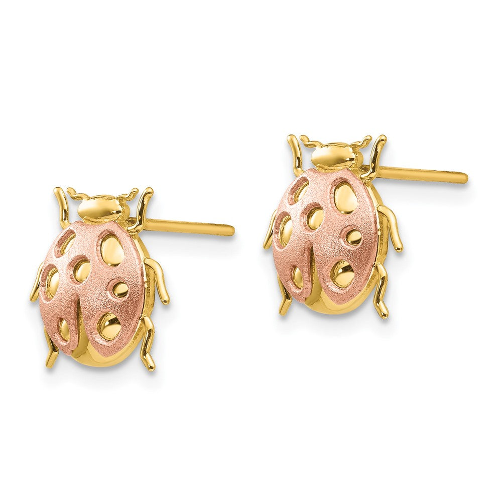 14k Two-tone Gold Two-tone Gold Ladybug Post Earrings