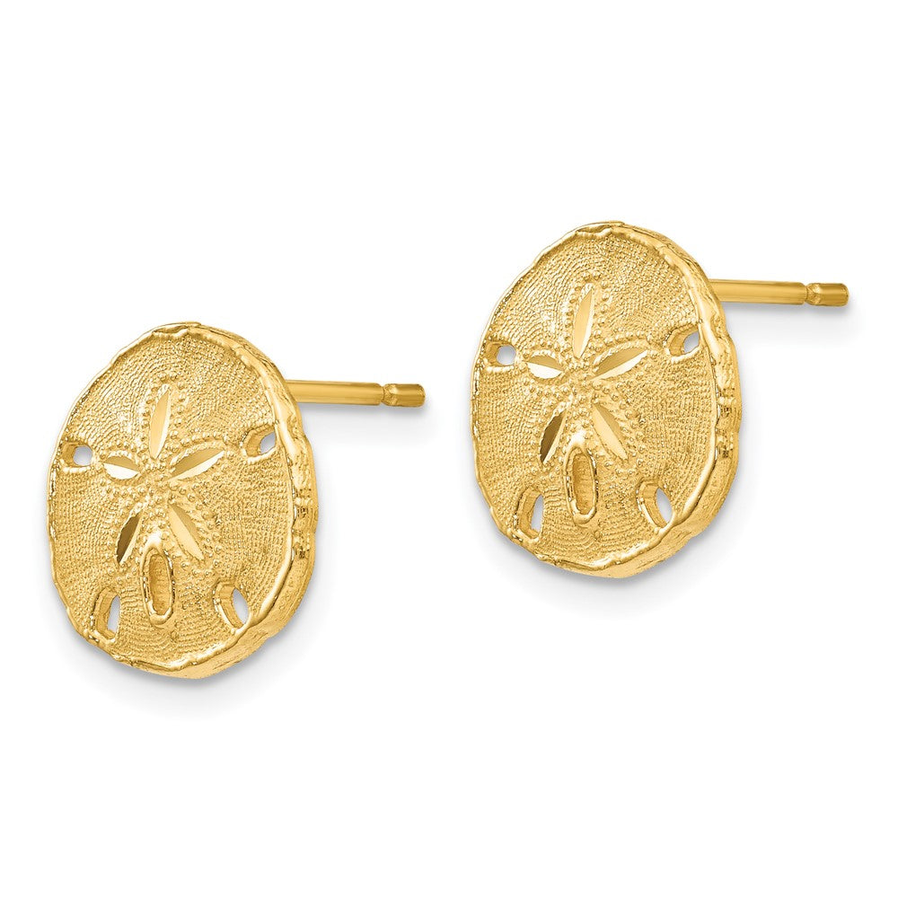 14k Yellow Gold Gold Polished & Textured Sand Dollar Post Earrings