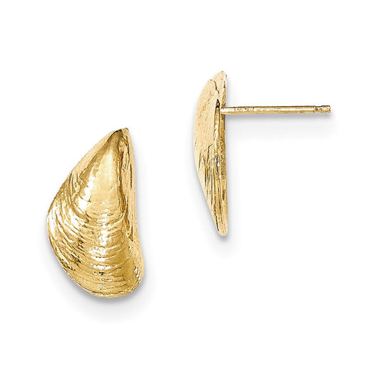 14k Yellow Gold Mussel Shell Post Earrings