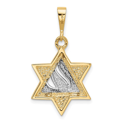 14k Two-tone Gold Star of David Pendant