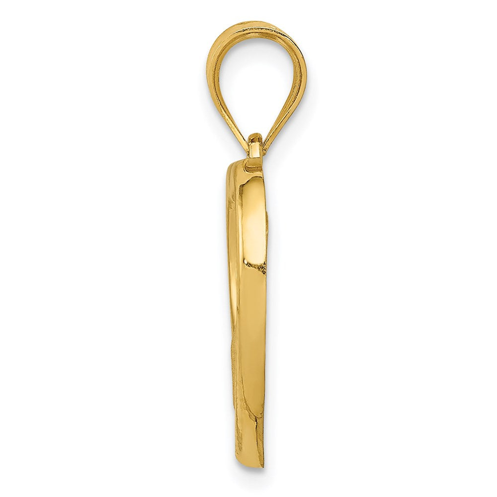14k Yellow Gold Polished and Satin Mom/Baby Heart Charm