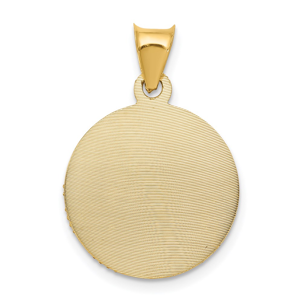 14k Yellow & Rhodium Gold w/Rose and White Rhodium D/C Sagrado Corazon Pendant