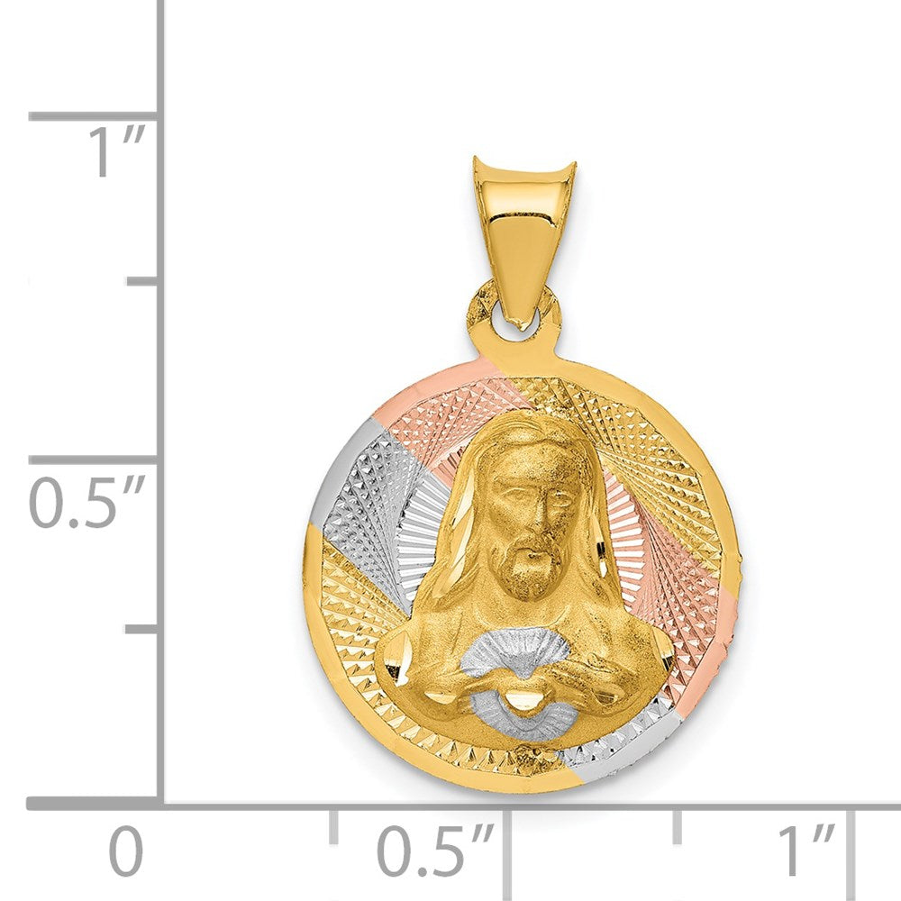 14k Yellow & Rhodium Gold w/Rose and White Rhodium D/C Sagrado Corazon Pendant