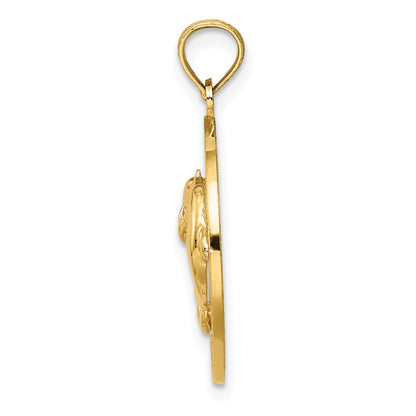 14k Yellow Gold PAWLEYS ISLAND Dolphin Charm