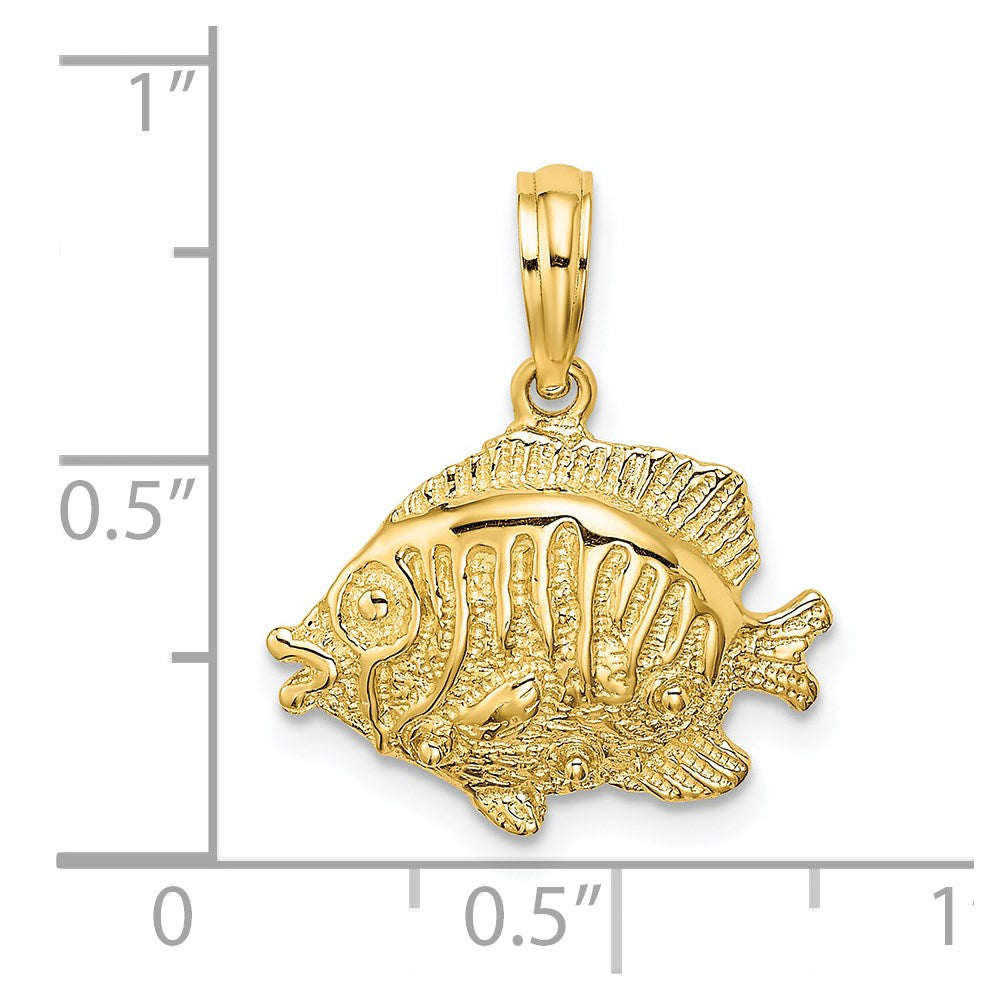 14k Yellow Gold Polished /Textured Fish Charm