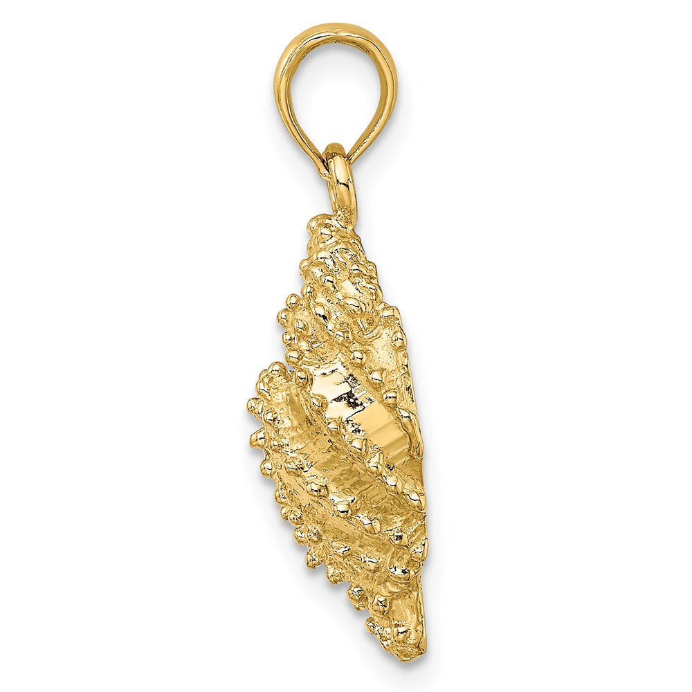 14k Yellow Gold Textured Conch Shell Charm