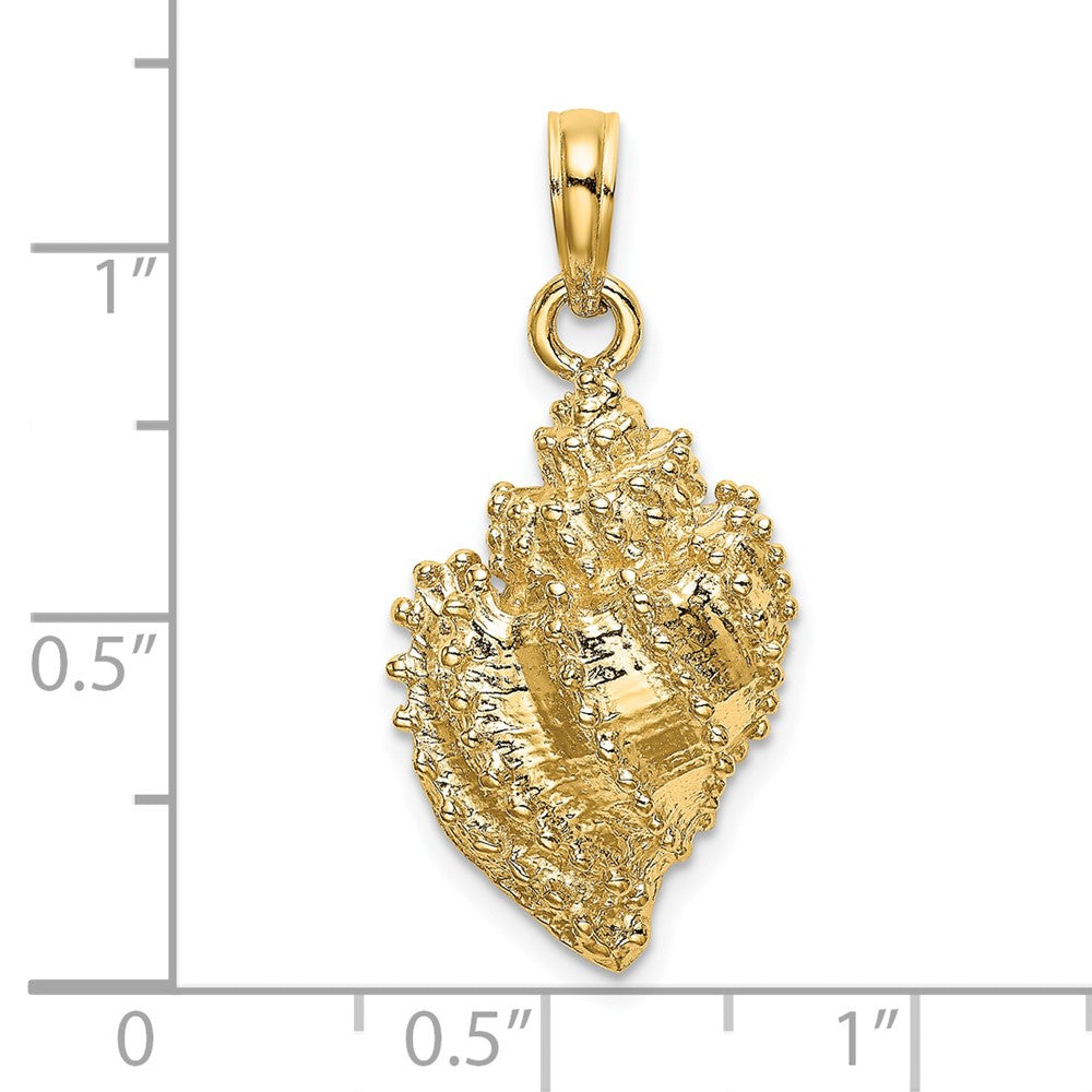 14k Yellow Gold Textured Conch Shell Charm