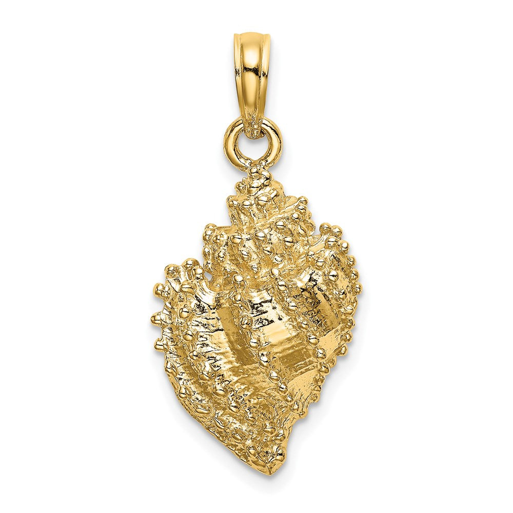 14k Yellow Gold Textured Conch Shell Charm