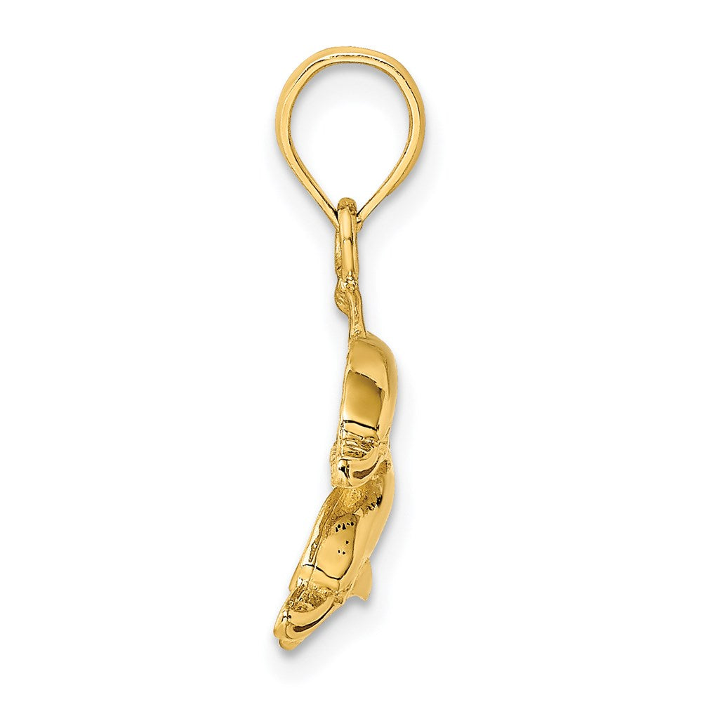 14k Yellow Gold Polished /Engraved Dolphins Charm
