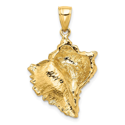 14k Yellow Gold Textured Conch Shell Charm