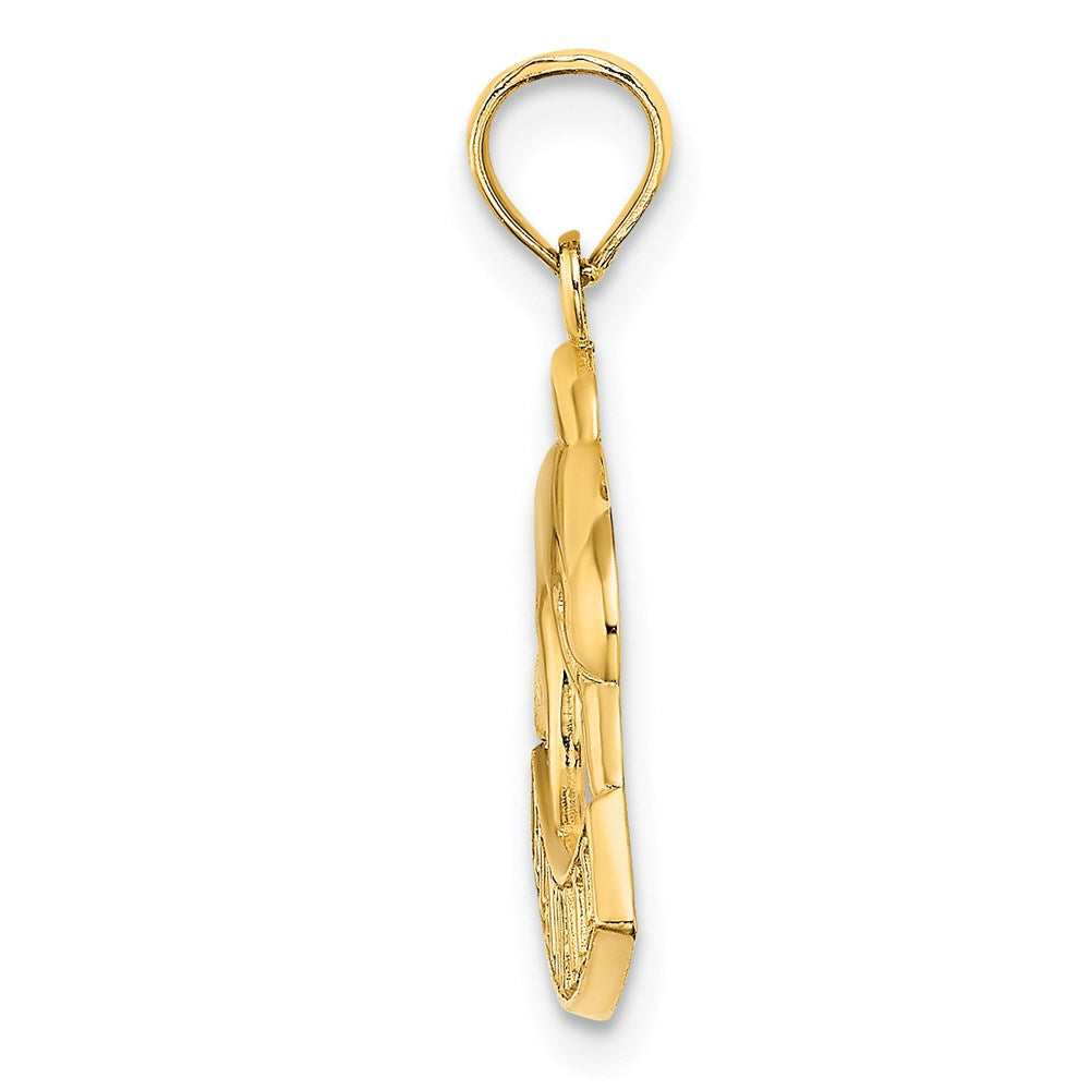 14k Yellow Gold HAWAII Dolphin Charm