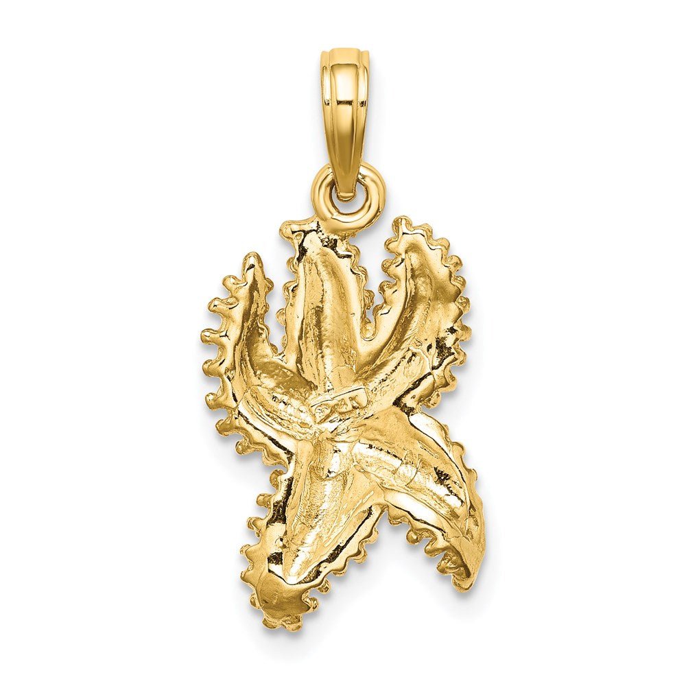 14k Yellow Gold Textured Starfish Charm