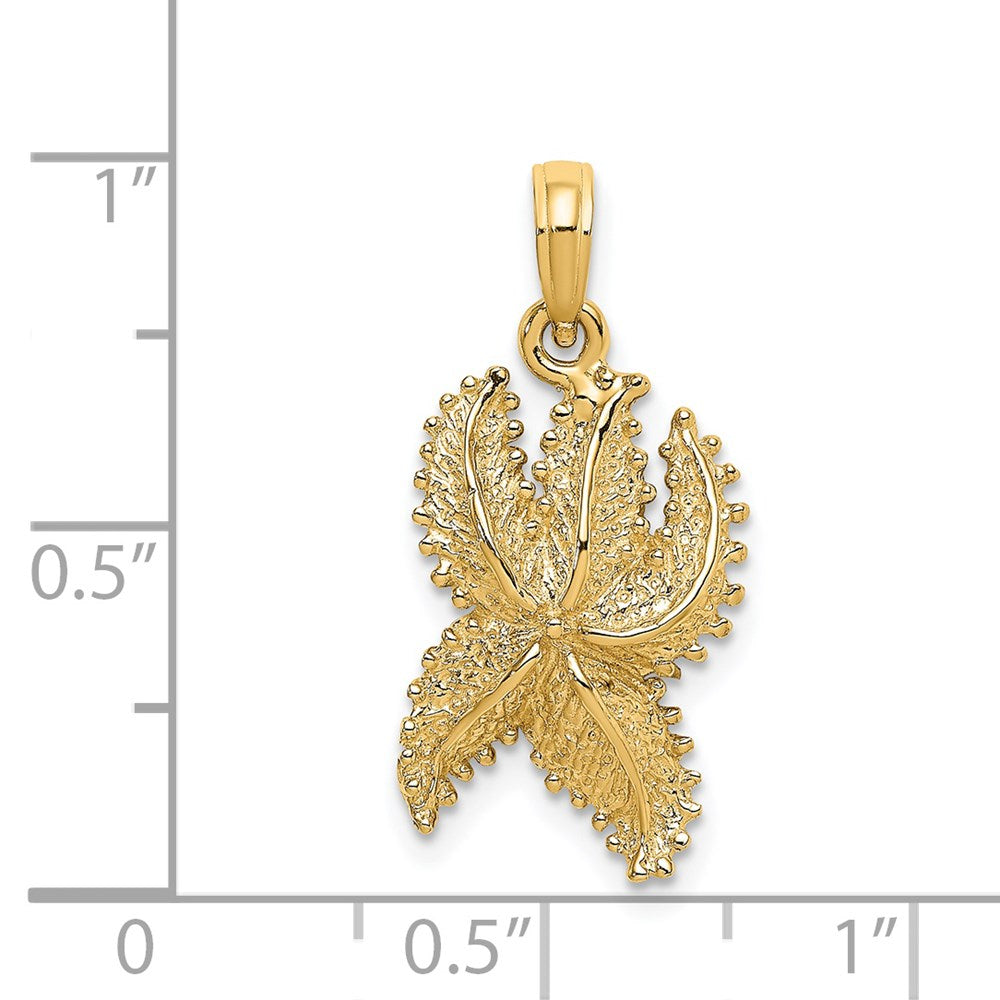 14k Yellow Gold Textured Starfish Charm