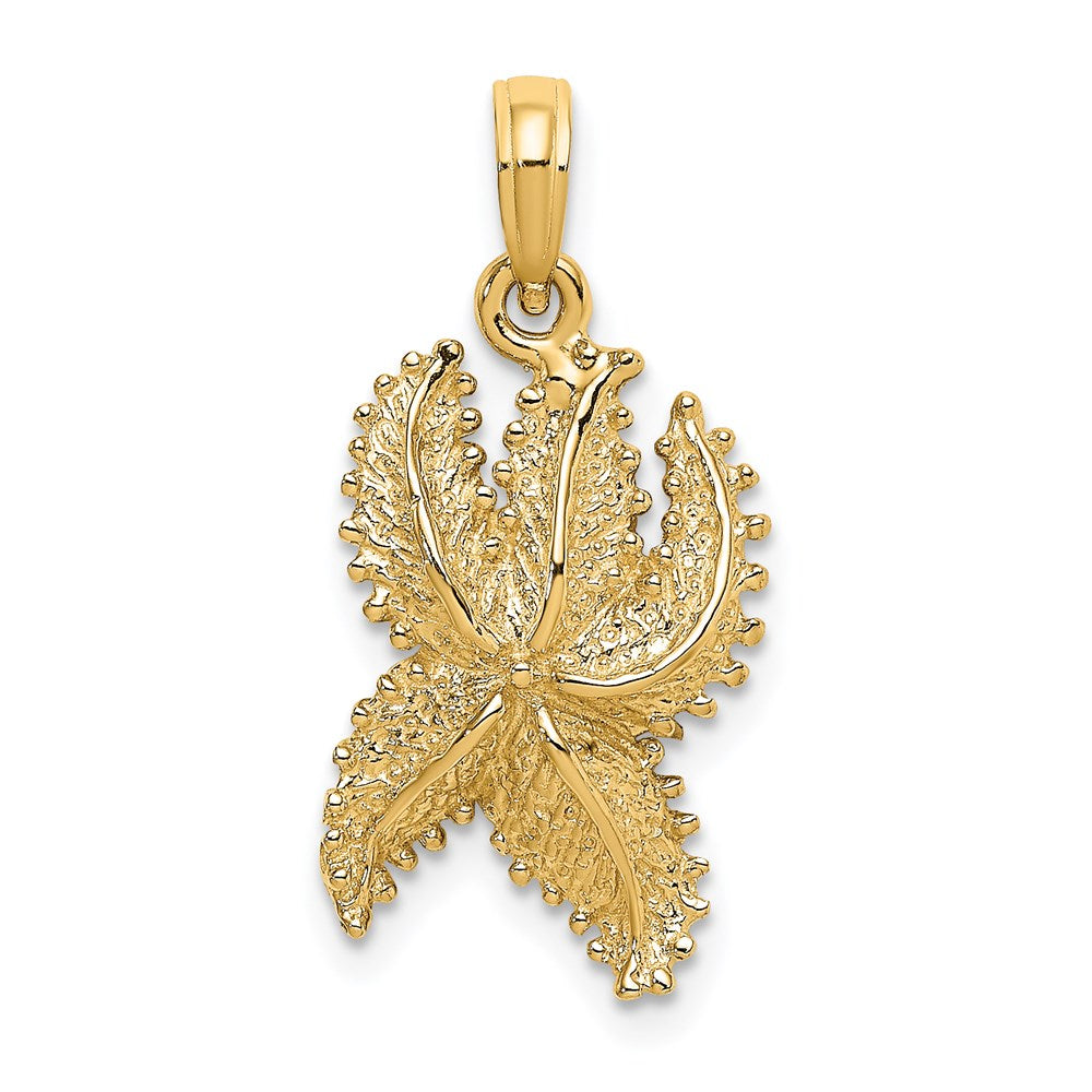 14k Yellow Gold Textured Starfish Charm