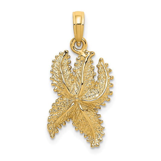 14k Yellow Gold Textured Starfish Charm