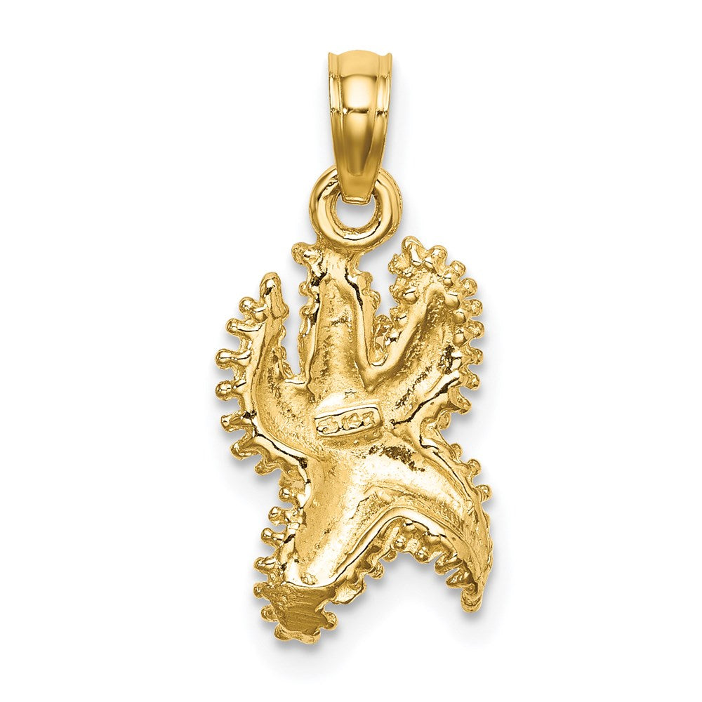 14k Yellow Gold Textured Starfish Charm