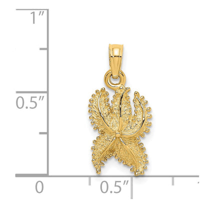 14k Yellow Gold Textured Starfish Charm