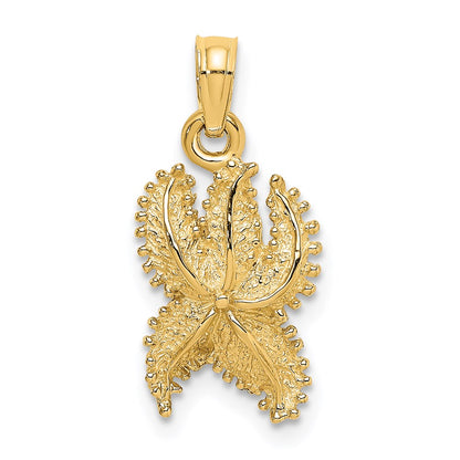 14k Yellow Gold Textured Starfish Charm