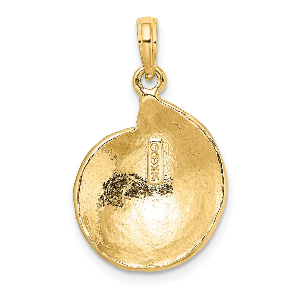14k Yellow Gold Textured Troca Shell Charm
