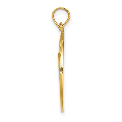 14k Yellow Gold ST. CROIX w/ Two Dolphins In Circle Charm