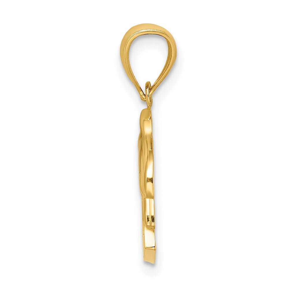 14k Yellow Gold ST. THOMAS Dolphin Charm