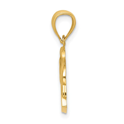 14k Yellow Gold ST. THOMAS Dolphin Charm