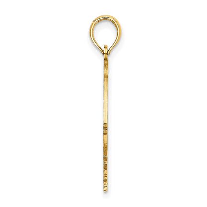 14k Yellow Gold Polished Cut-Out ARUBA Under Angelfish Charm