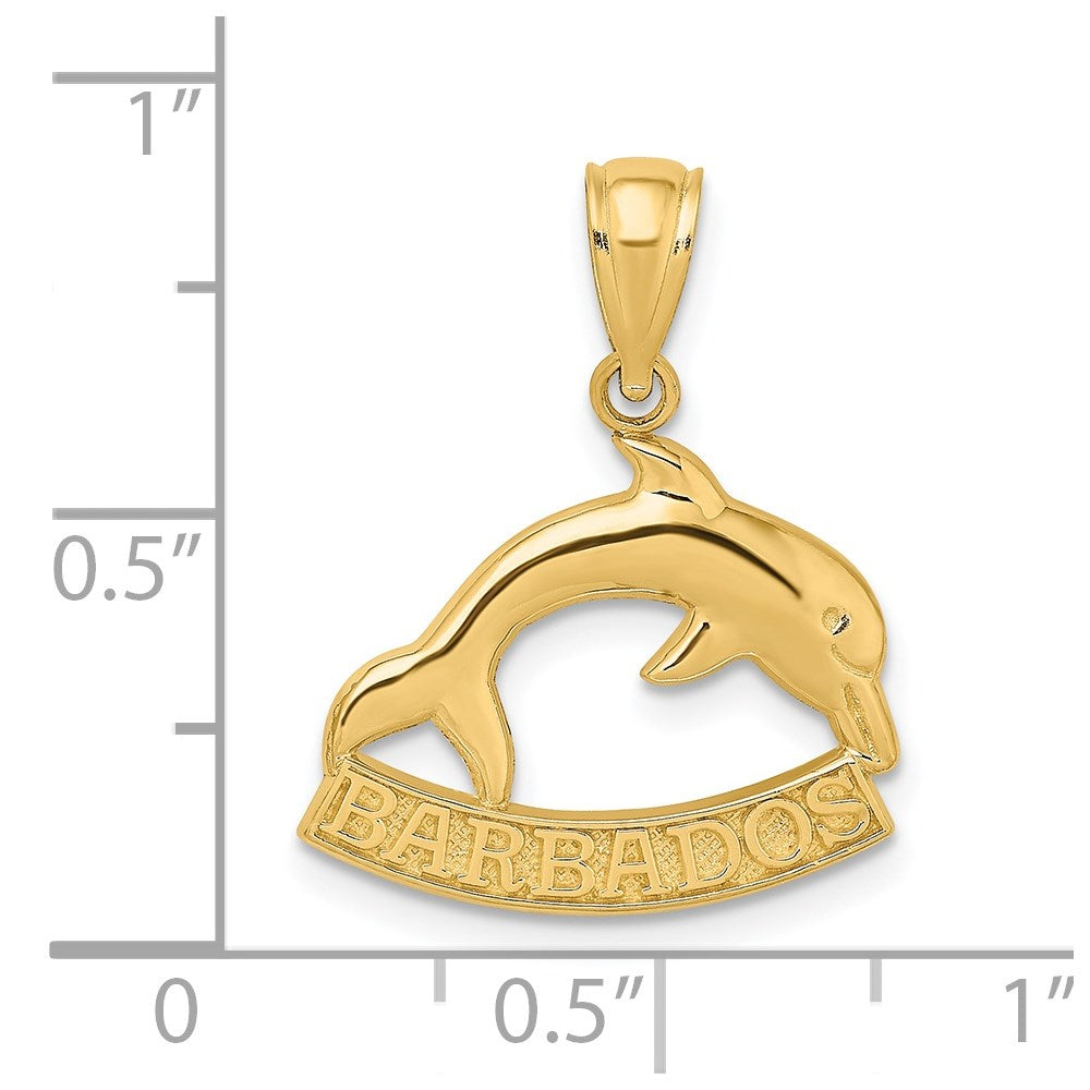14k Yellow Gold Polished BARBADOS Dolphin Charm