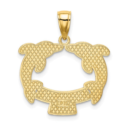 14k Yellow Gold SAN DIEGO w/ Dolphins Charm