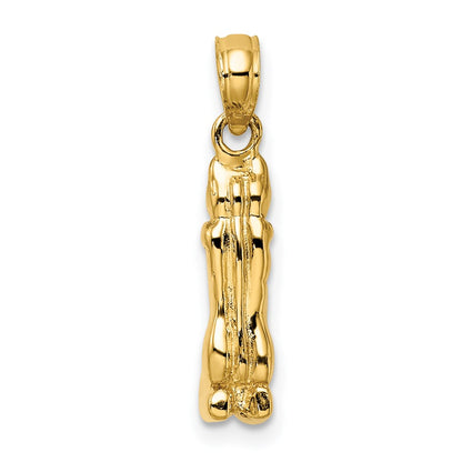 14k Yellow Gold 3D Polished MARCO ISLAND Cat Charm