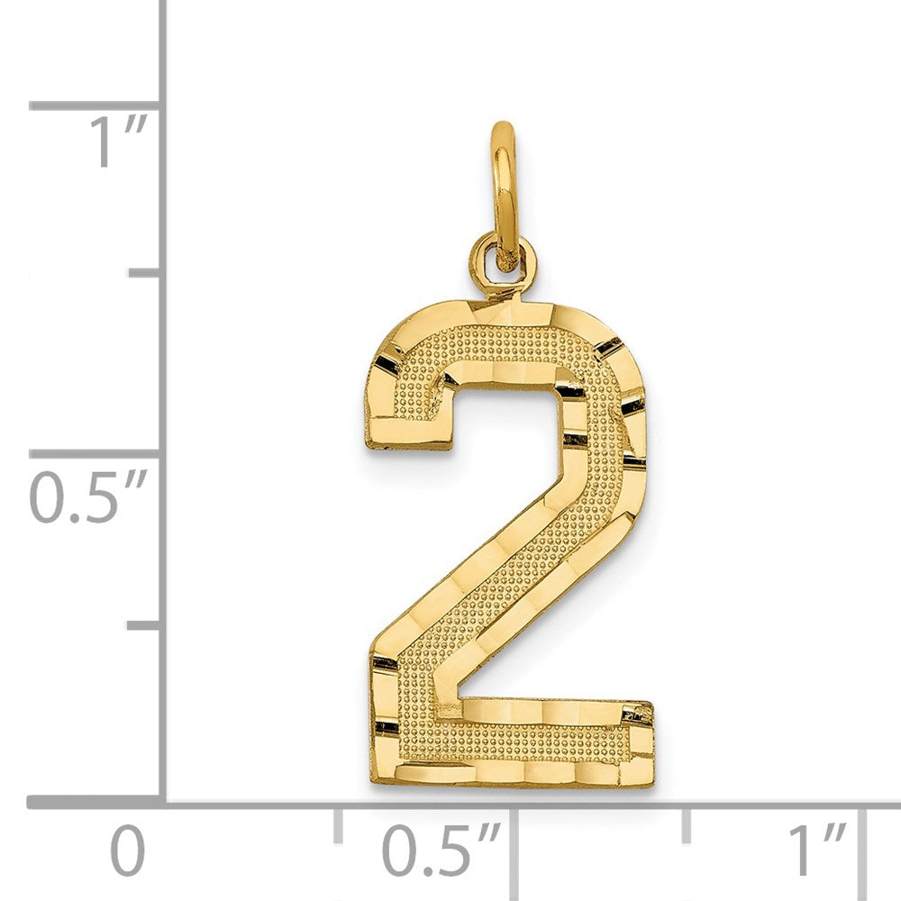 14k Yellow Gold Large Brushed Diamond-cut Number 2 Charm
