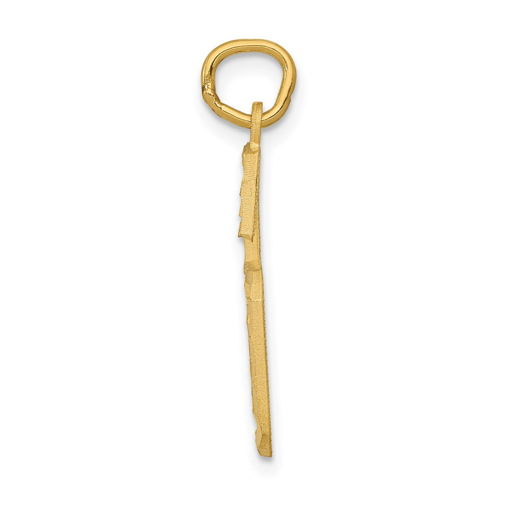 14k Yellow Gold Large Brushed Diamond-cut  Number 6 Charm