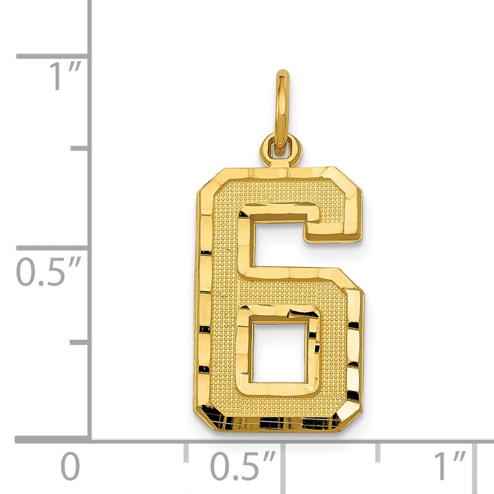 14k Yellow Gold Large Brushed Diamond-cut  Number 6 Charm