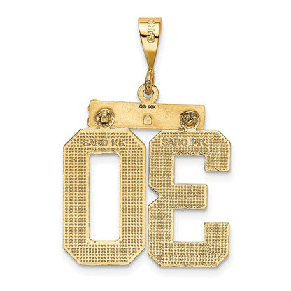 14k Yellow Gold Large Brushed Diamond-cut Number 30 Charm