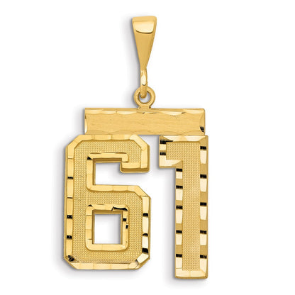 14k Yellow Gold Large Brushed Diamond-cut Number 61 Charm