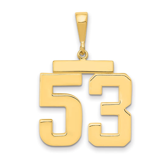 14k Yellow Gold Large Polished Number 53 Charm