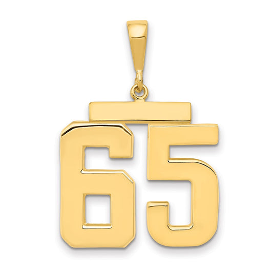 14k Yellow Gold Large Polished Number 65 Charm