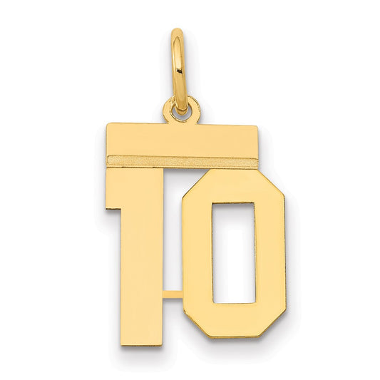 14k Yellow Gold Small Polished Number 10 Charm