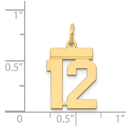 14k Yellow Gold Small Polished Number 12 Charm