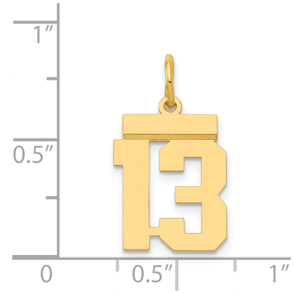 14k Yellow Gold Small Polished Number 13 Charm
