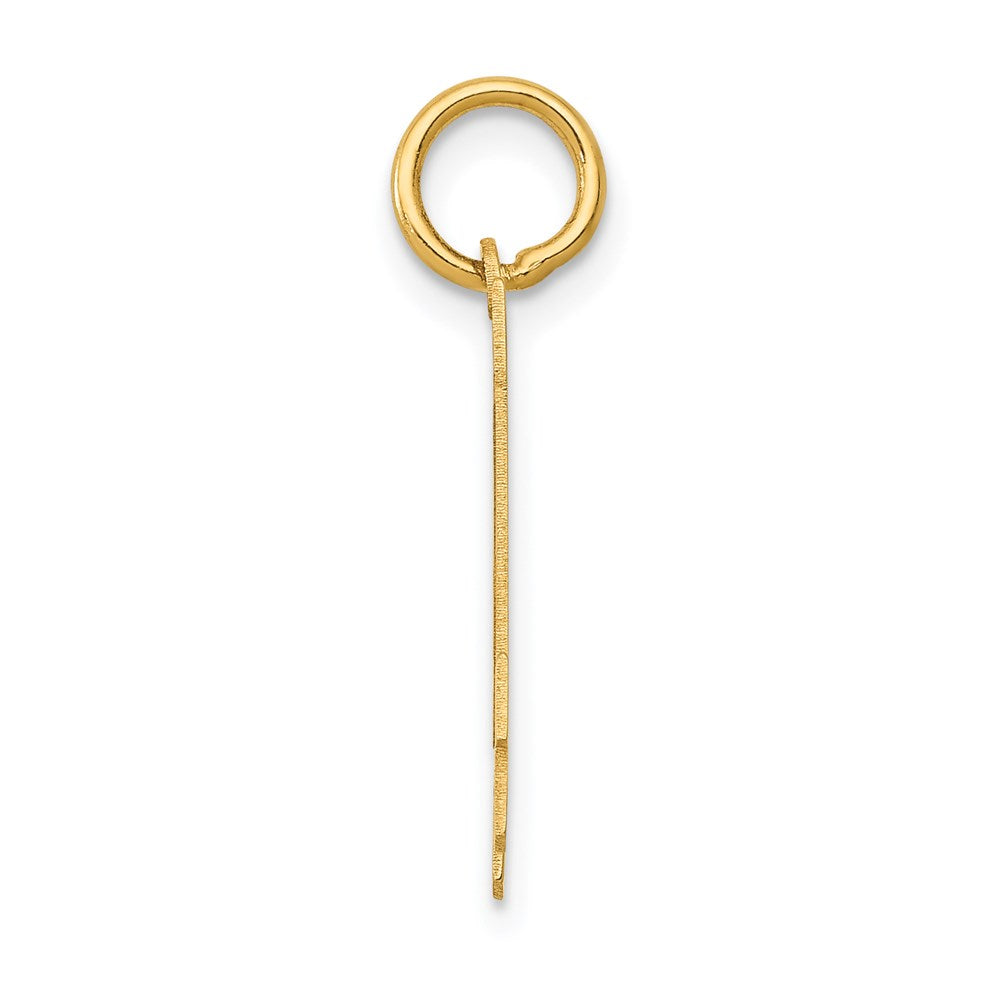 14k Yellow Gold Small Polished Number 14 Charm