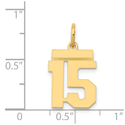 14k Yellow Gold Small Polished Number 15 Charm