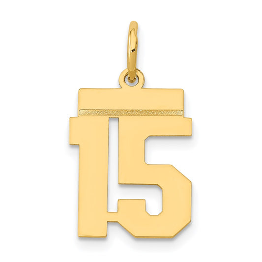 14k Yellow Gold Small Polished Number 15 Charm