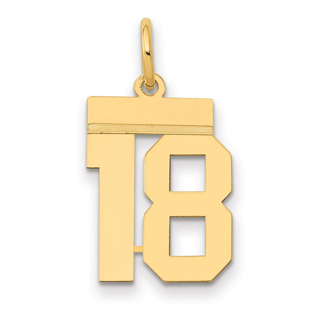 14k Yellow Gold Small Polished Number 18 Charm