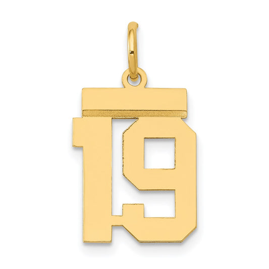 14k Yellow Gold Small Polished Number 19 Charm