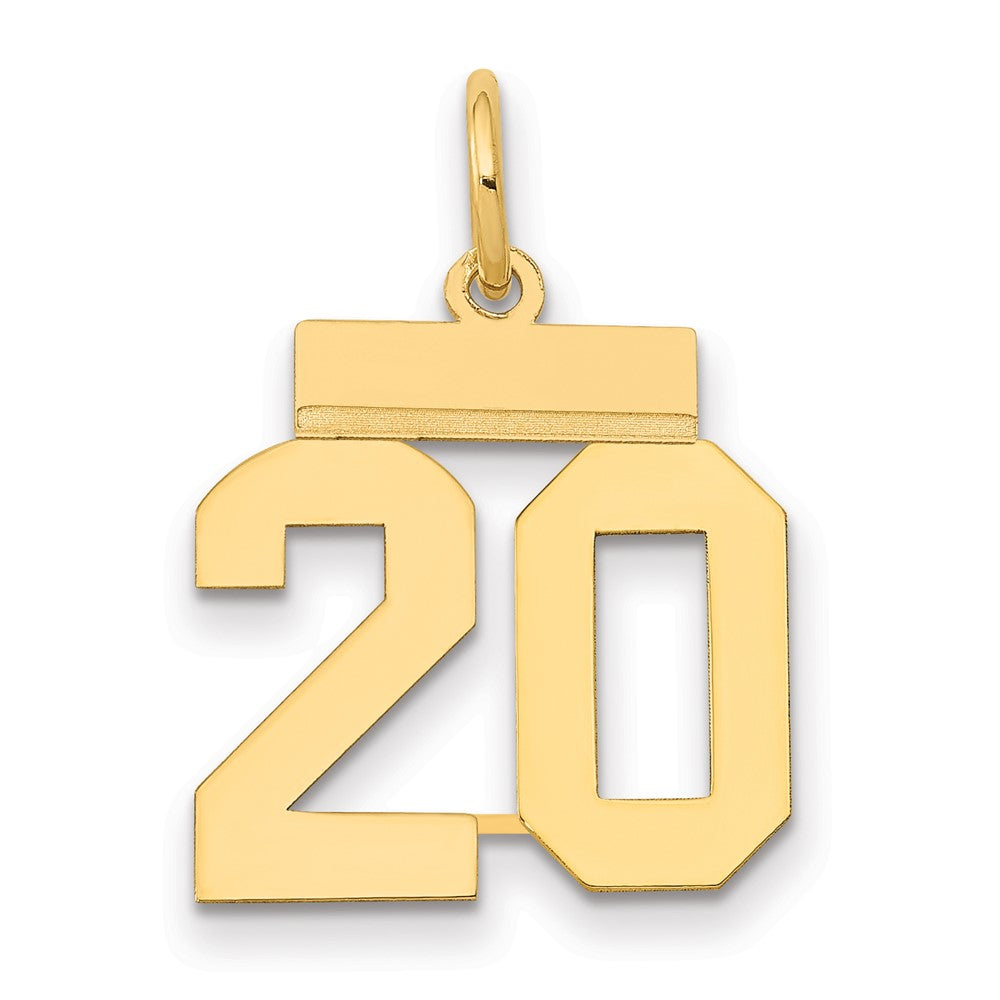 14k Yellow Gold Small Polished Number 20 Charm