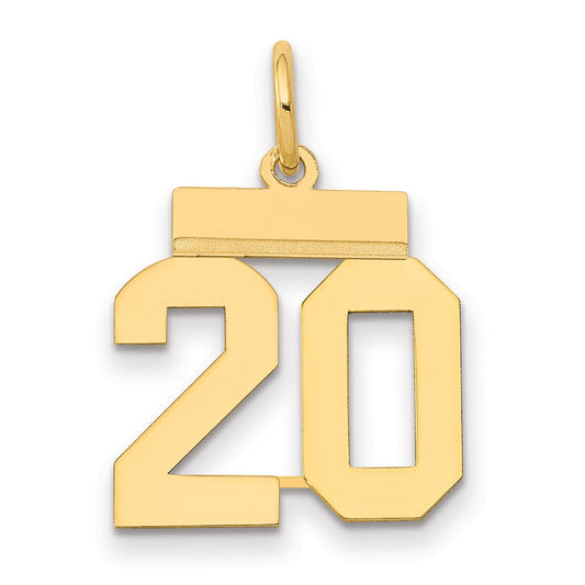 14k Yellow Gold Small Polished Number 20 Charm