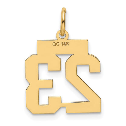14k Yellow Gold Small Polished Number 23 Charm