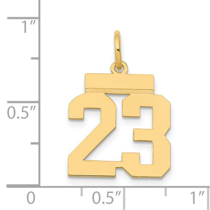 14k Yellow Gold Small Polished Number 23 Charm