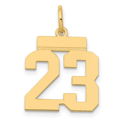 14k Yellow Gold Small Polished Number 23 Charm